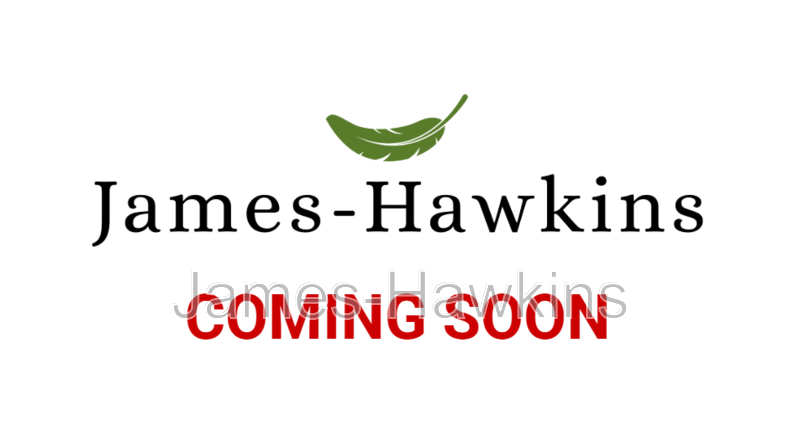 Montgomery House: 1388 Adrian Lane