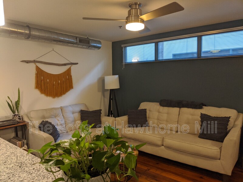 Charlotte Apartment: 1101 Hawthorne Lane