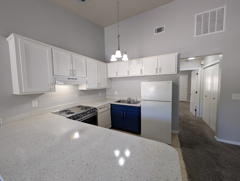 Tallahassee Townhome: 1247 Continental Court