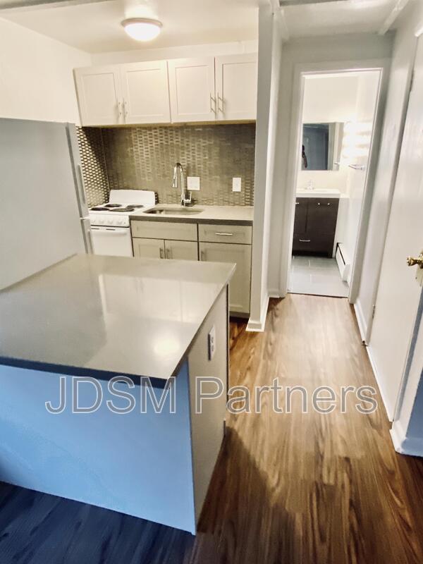 Denver Condo: 80 South Washington Street #1