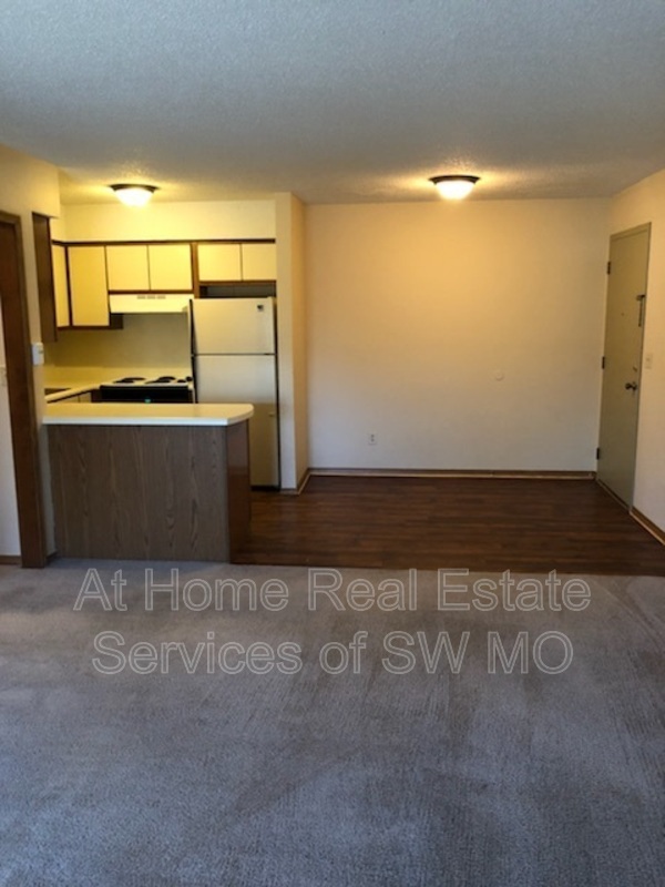 Springfield Condo: 2856 S Rogers