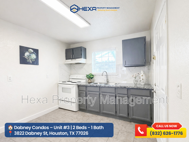 Houston Condo: 3822 Dabney St