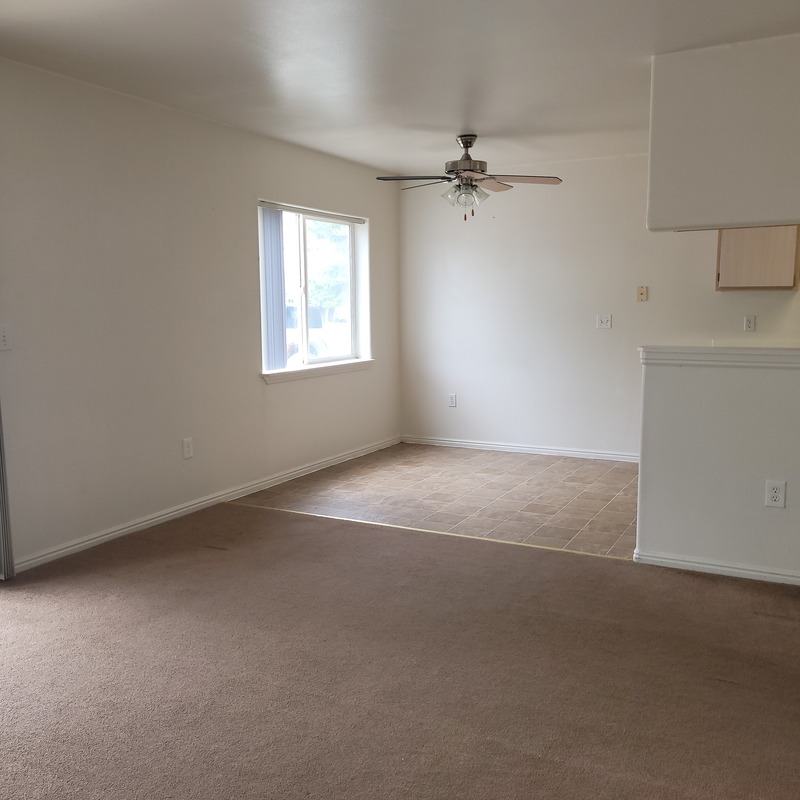 Soda Springs Condo: 451 N 7th E