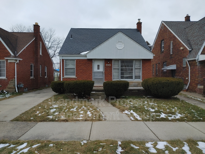 Detroit House: 18947 Runyon Street