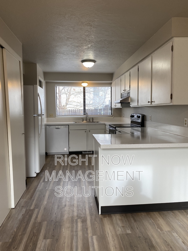 Meridian Townhome: 1510 Storey Street