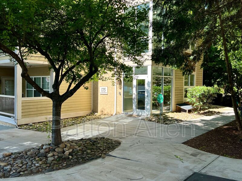 Asheville Condo: 175 S Lexington Ave