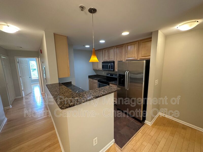 Charlotte Condo: 3911 Picasso Court