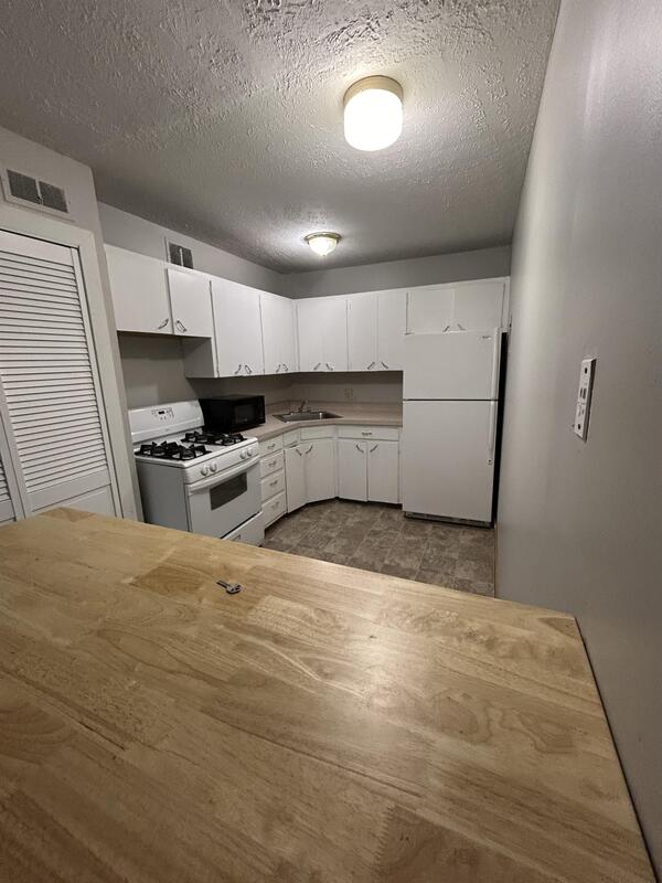 Lawrence Condo: 1403 Tennessee St - 5