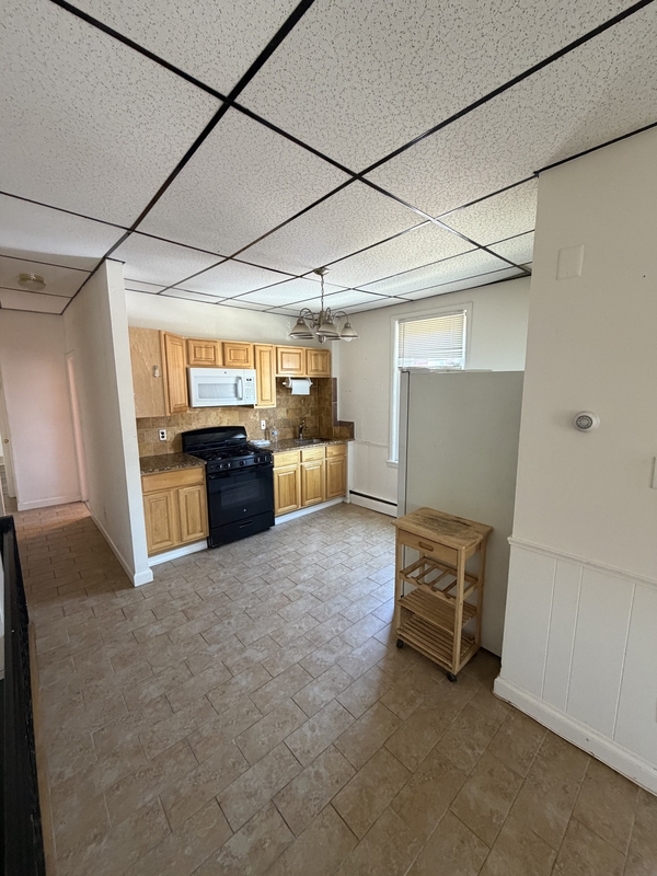 Philadelphia Condo: 1526 West Ritner Street - 2