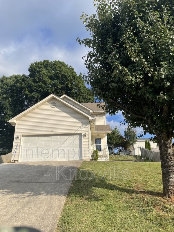 Knoxville House: 3119 Pinex Ln