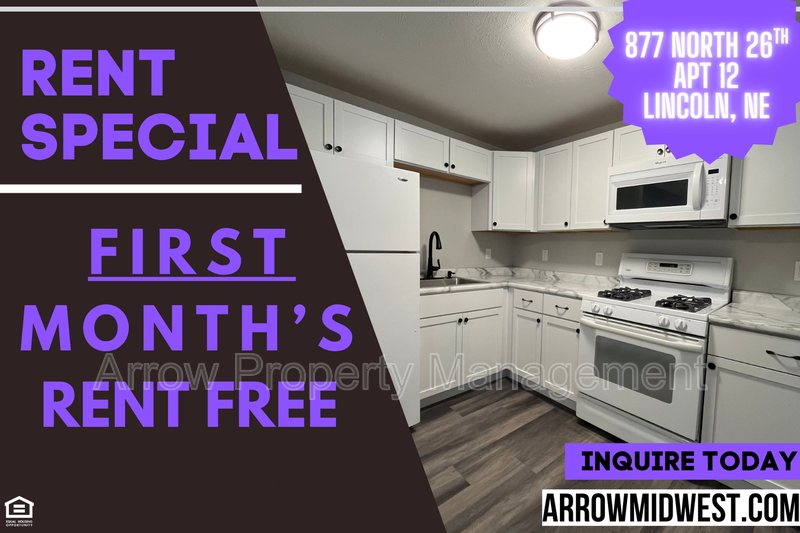 Lincoln Condo: 877 N 26th Street - 12