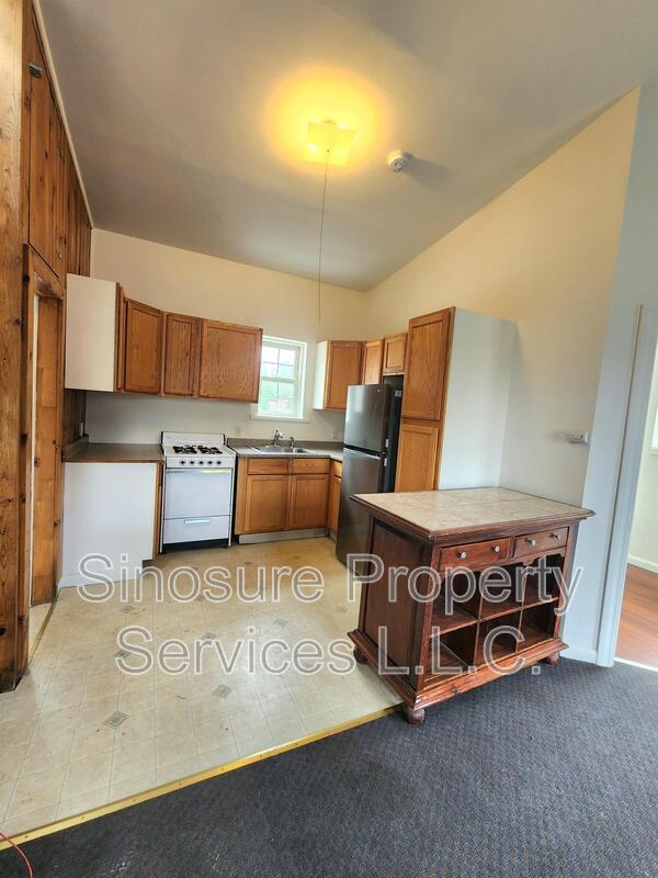 Albany Condo: 250 Lark Street - Third Floor