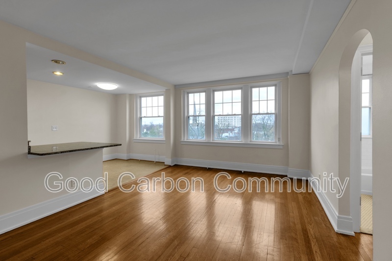 Buffalo Condo: 175 North St