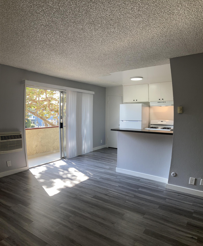 Los Angeles Condo: 123 South Catalina Street - 215