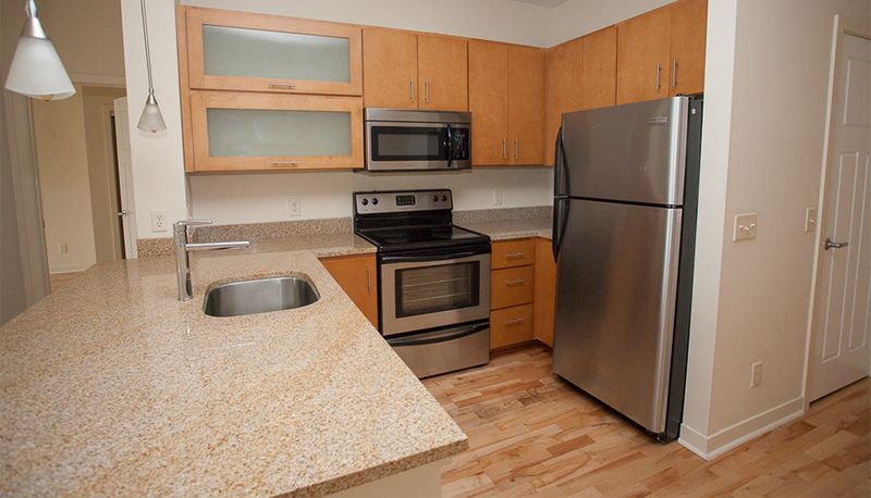 Harrisonburg Condo: 242 East Water Street Suite 414