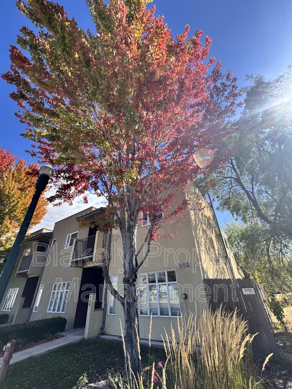 Boise Condo: 502 South 15th Street - 1