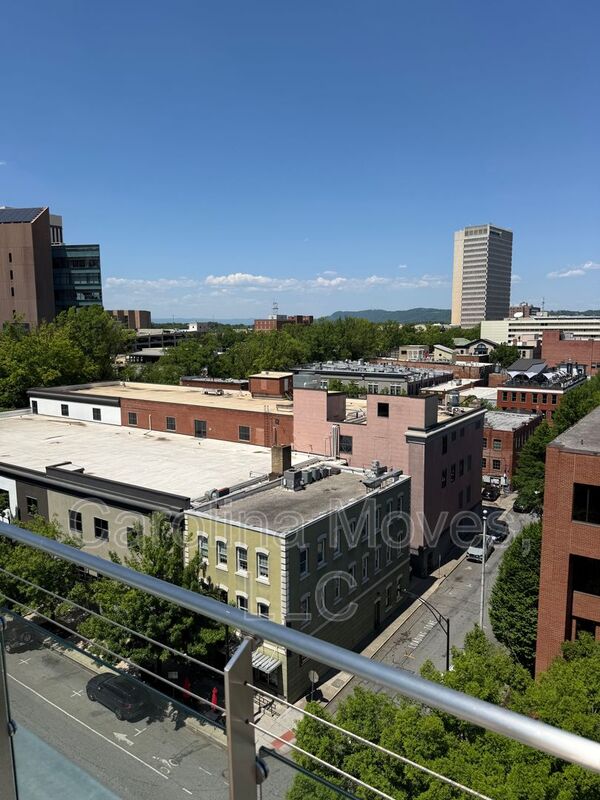 Greenville Condo: 100 E. Washington St.