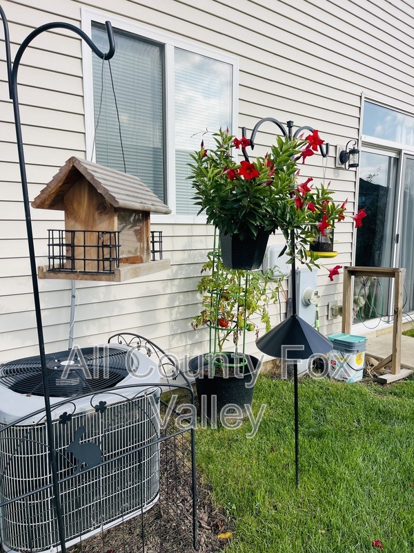 Main Rental Photo 24