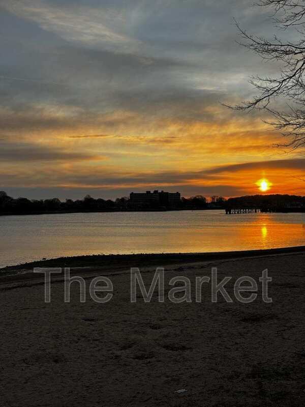 Quincy Condo: 75 Avalon Ave