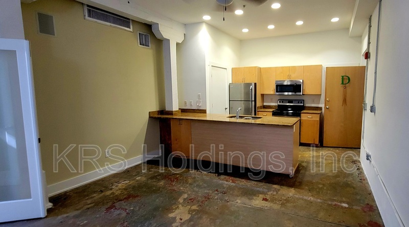 Petersburg Condo: 141 E Wythe