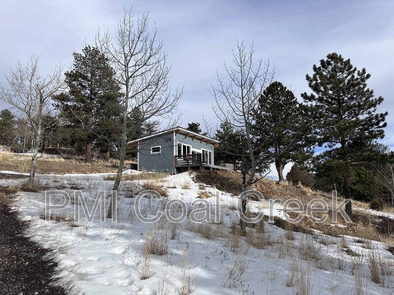 Idaho Springs House: 108 Wolf Song Lane