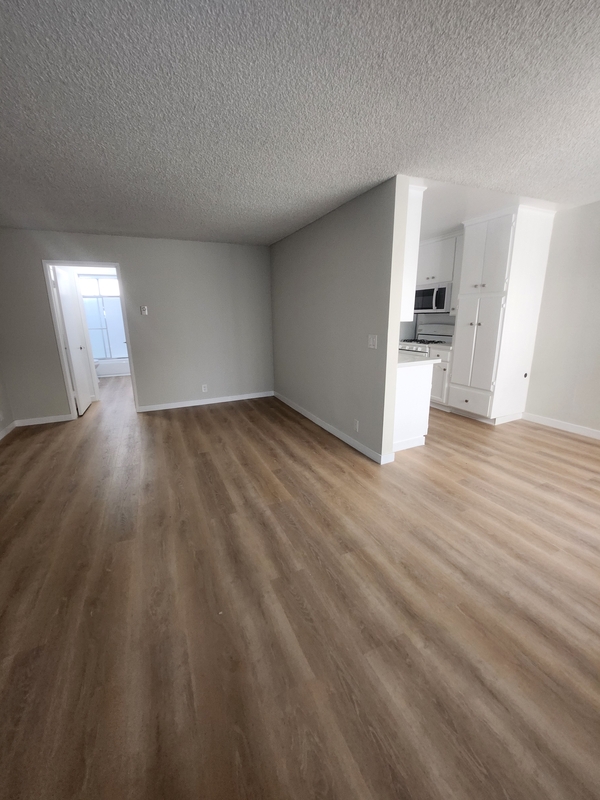 Los Angeles Condo: 123 South Catalina Street - 202