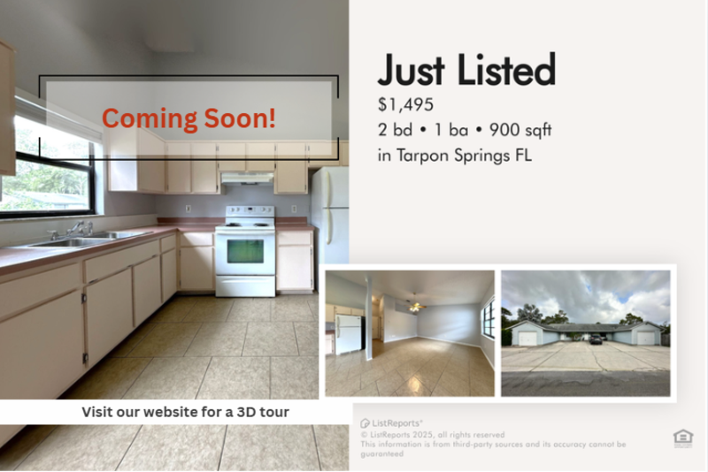 Tarpon Springs Condo: 1159 East Rohe Street - A