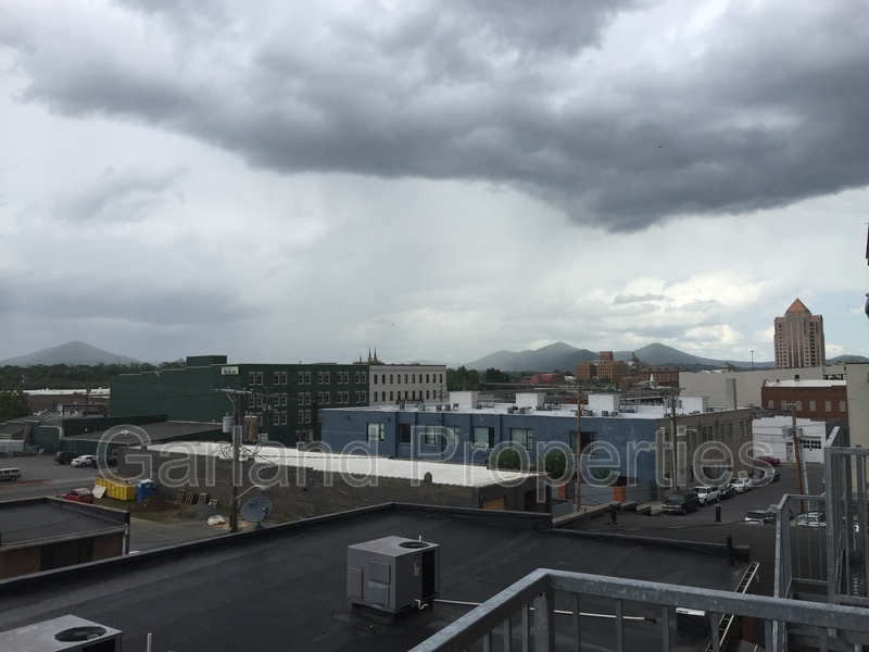 Roanoke Condo: 425 Campbell Ave