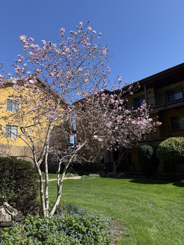 West Kelowna Condo: 4026 Pritchard Dr N