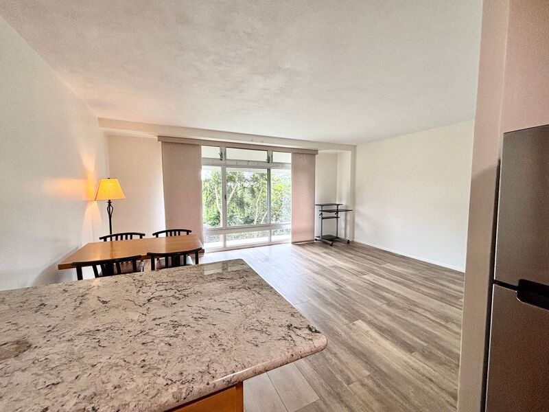 Honolulu Condo: 1511 Nuuanu Ave 333