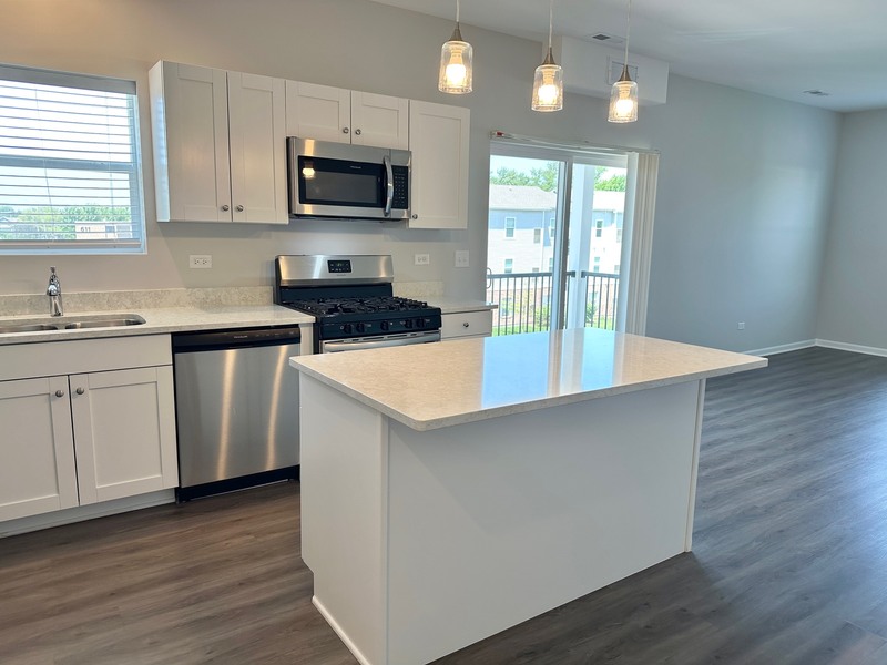 East Dundee Condo: 855 E Main St