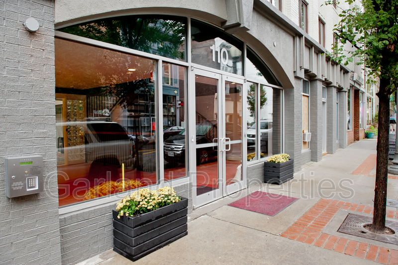 Roanoke Condo: 110 Campbell Ave
