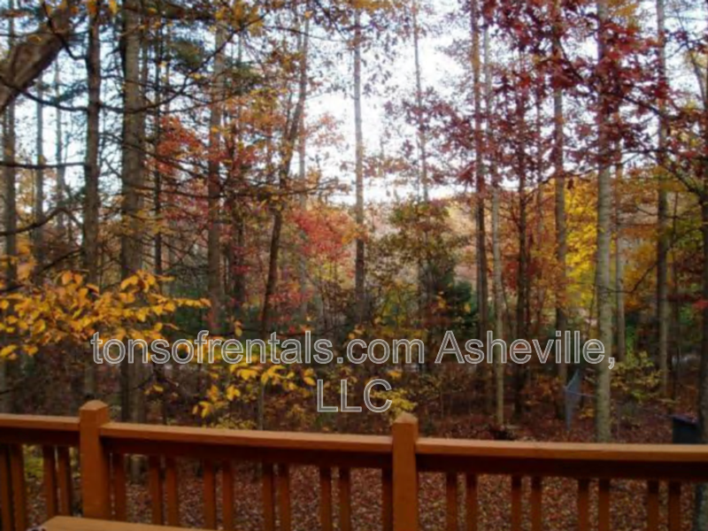 Hendersonville House: 1286 Davis Mountain Road