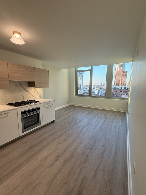 Chicago Condo: 11 N Green St.