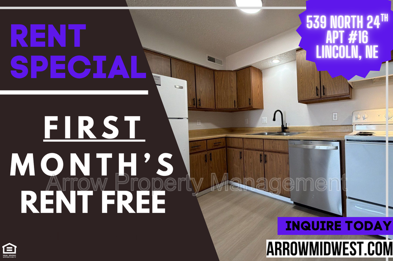Lincoln Condo: 539 North 24th Street