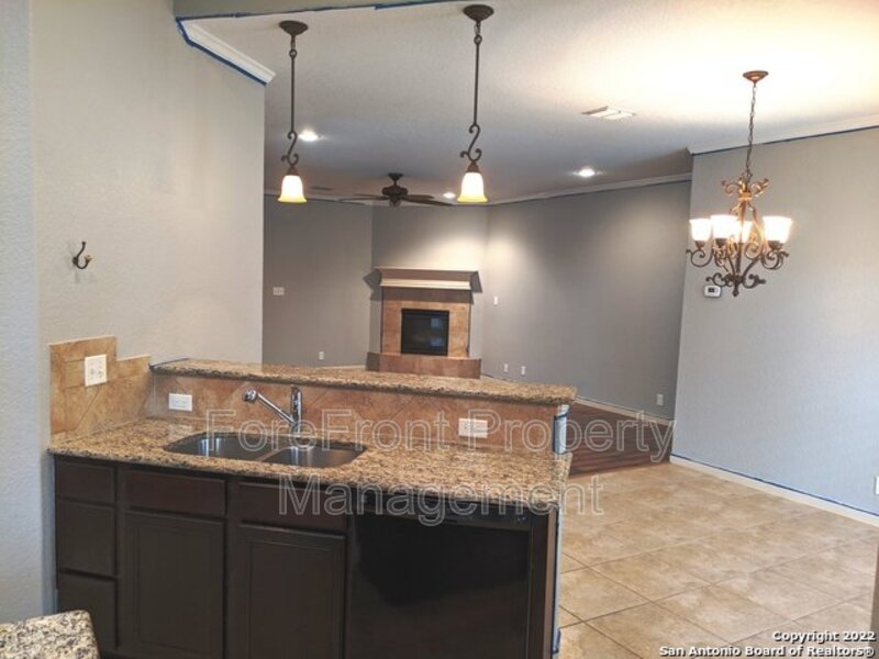 8710 Gelvani Grove  TX 78015 - Photo 4