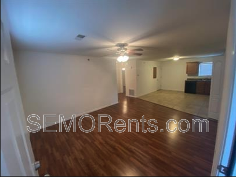 Cape Girardeau Condo: 3 Village Drive - 203