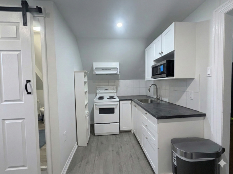 Hamilton Condo: 99 Mary st