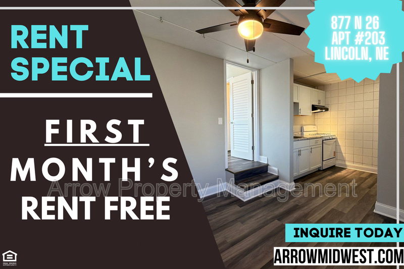 Lincoln Condo: 877 N 26
