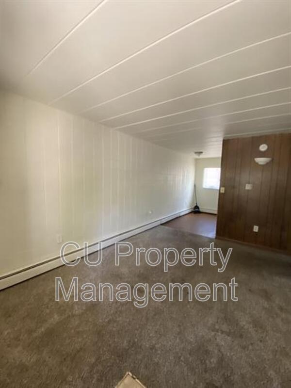 Champaign Condo: 800 W Church St