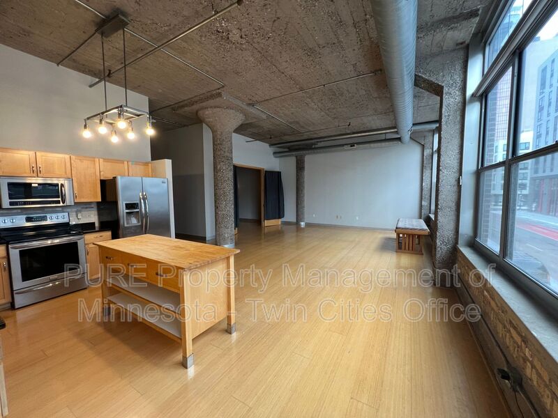 Minneapolis Condo: 521 S 7th St