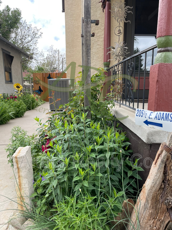 Pueblo Condo: 205 1/2 E Adams Ave
