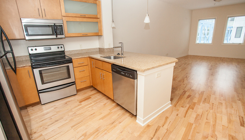 Harrisonburg Condo: 242 East Water Street Suite 308