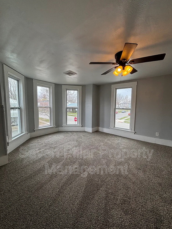 Greenville Condo: 703 E 4th St
