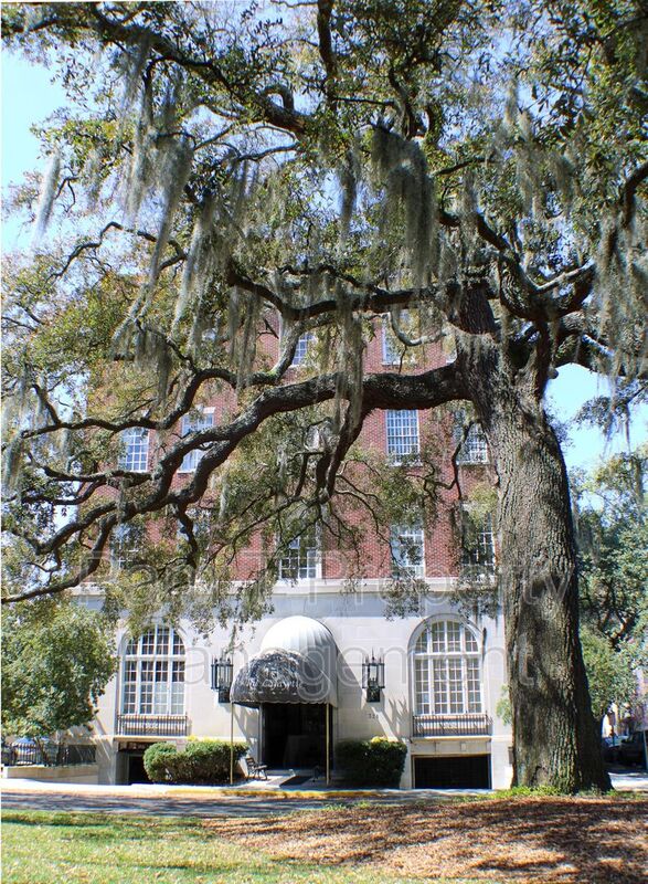 Savannah Condo: 321 Abercorn St.