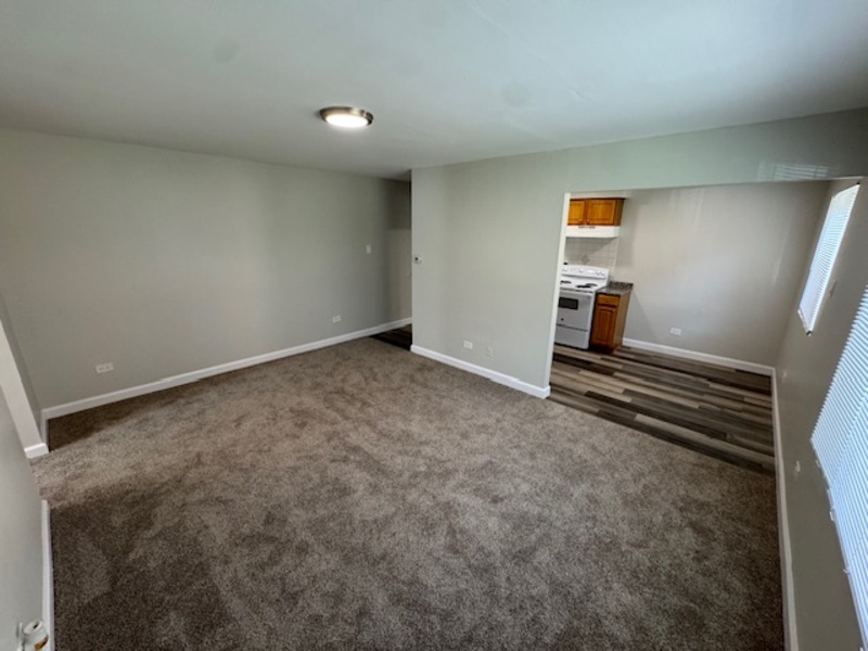 Calumet City Condo: 495 Madison Avenue - 1D