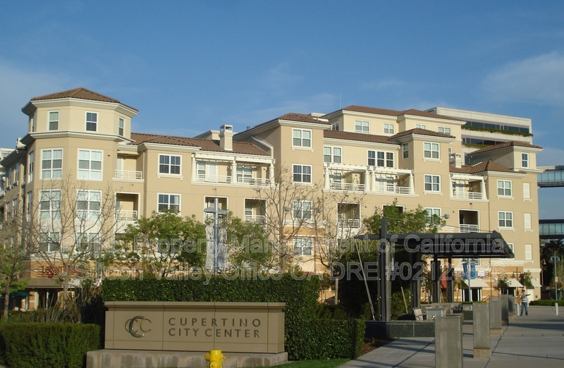 Cupertino House: 20488 Stevens Creek Blvd