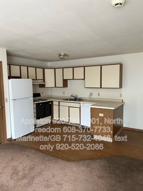 Marinette Condo: 907 Madison Ave. #14