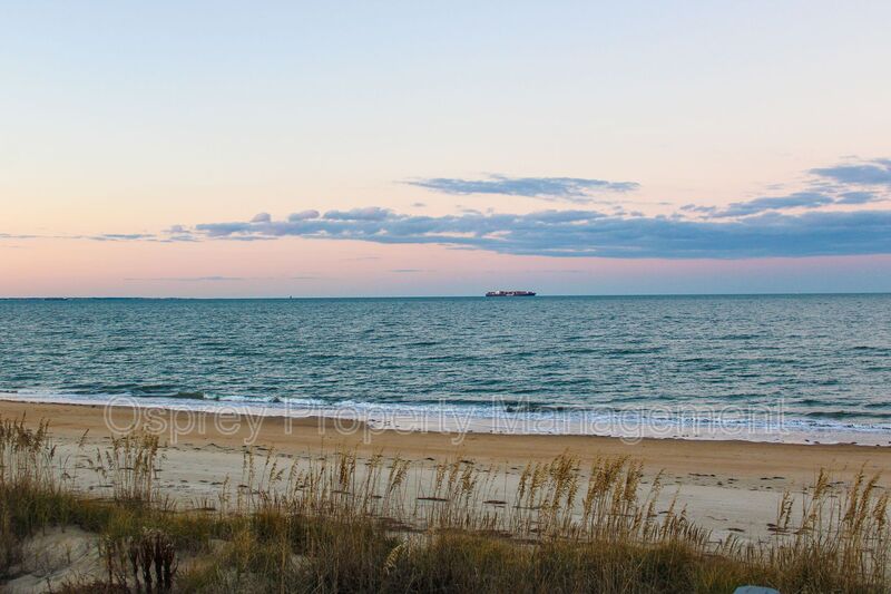 Experience the beauty of the Chesapeake Bay!  