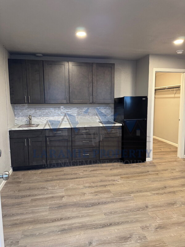 Laramie Condo: 165 N 3rd St